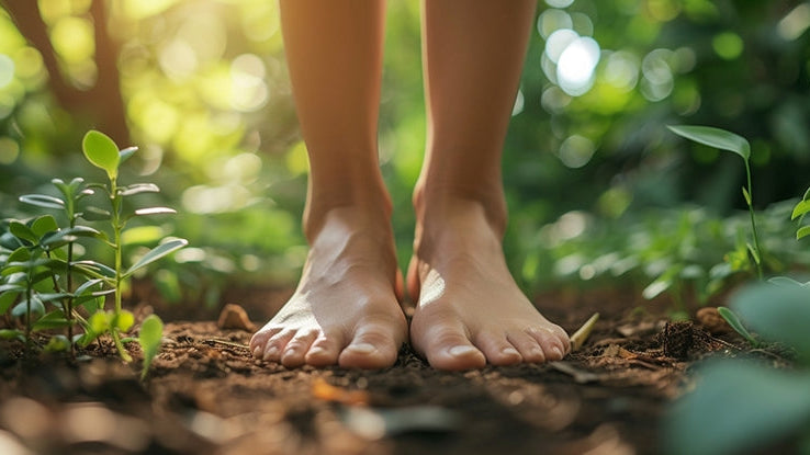 The effects of grounding (earthing) on inflammation, the immune response, wound healing, and prevention and treatment of chronic inflammatory and autoimmune diseases