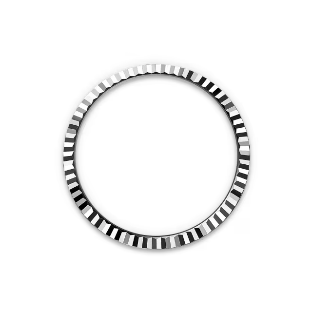 Land-Dweller 40 mm Oystersteel White Gold M127334-0001