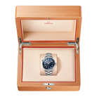 Seamaster Planet Ocean 215.30.44