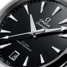 Seamaster Aqua Terra 41 mm