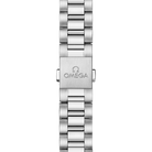 Seamaster Aqua Terra 41 mm