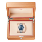 Seamaster Diver 300M 42 mm