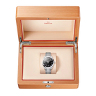 Seamaster Aqua Terra 41 mm