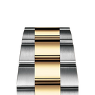 Explorer 36mm 18k Yellow Gold and Stainless steel (2024) 124273-0001
